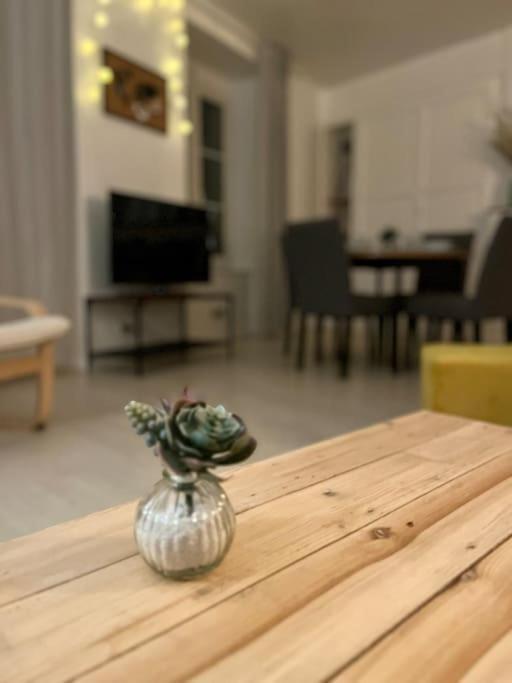 Appartement - Centre Ville Historique - Avec Vue Aurillac Eksteriør billede